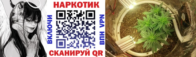 Магазины продажи наркотиков Струнино COCAIN  Марихуана  Меф  ГАШИШ 