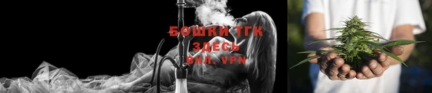 гидропоника Коряжма